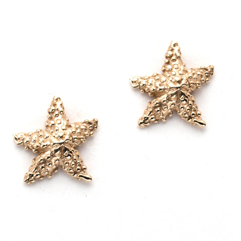 Shimmering 14k Gold Starfish Earrings